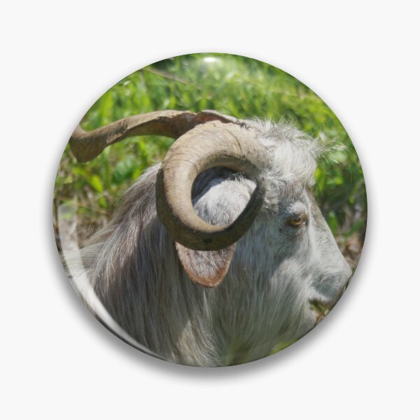Item preview, Side View of A Billy Goat Grazing designed and sold by taiche.