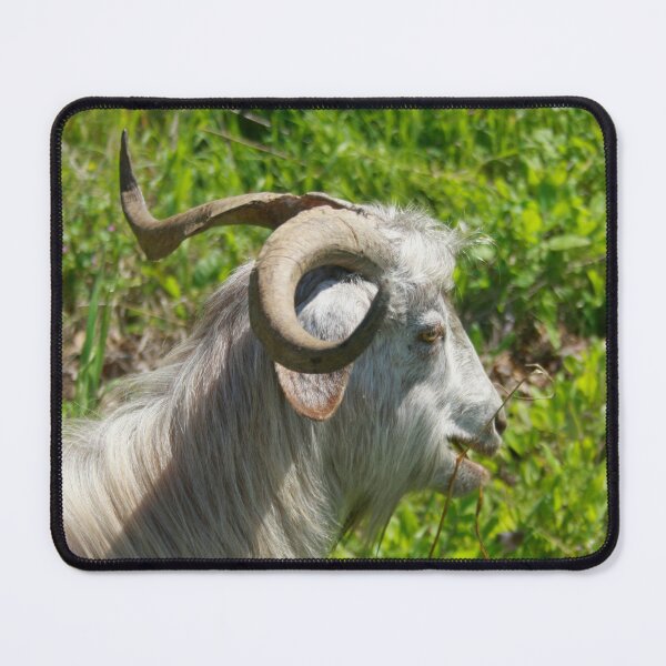 Item preview, Side View of A Billy Goat Grazing designed and sold by taiche.