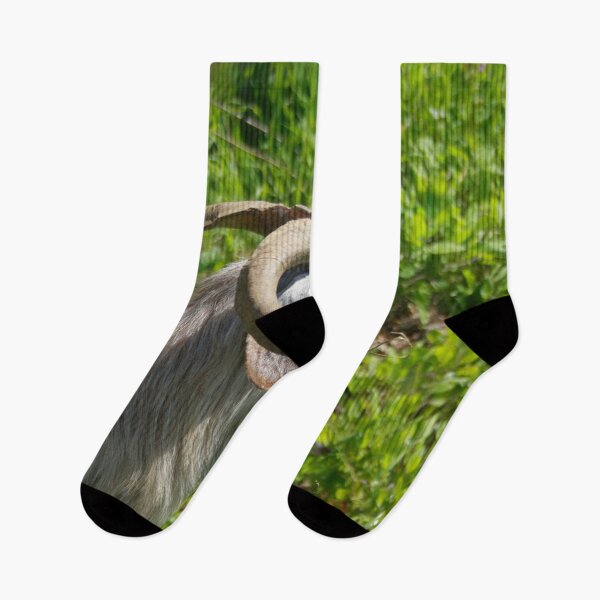 Item preview, Side View of A Billy Goat Grazing designed and sold by taiche.