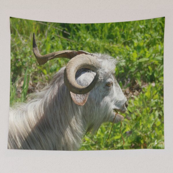 Item preview, Side View of A Billy Goat Grazing designed and sold by taiche.