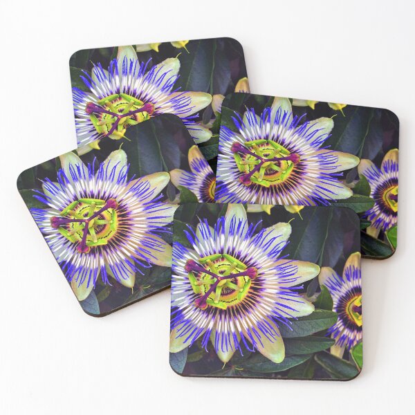 Item preview, Passion Flower Summer Flowering Plant designed and sold by AndyEvansPhotos.