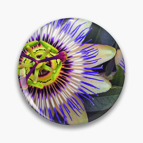 Item preview, Passion Flower Summer Flowering Plant designed and sold by AndyEvansPhotos.