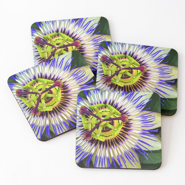 Item preview, Passion Flower Summer Flowering Plant designed and sold by AndyEvansPhotos.