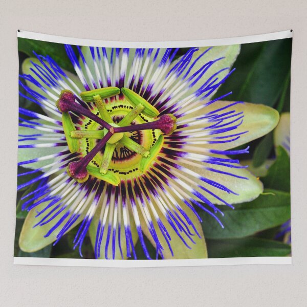 Item preview, Passion Flower Summer Flowering Plant designed and sold by AndyEvansPhotos.