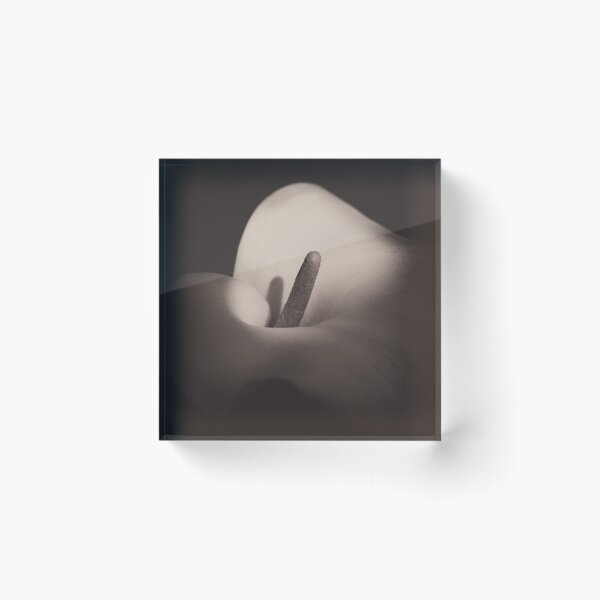 Item preview, Calla Lily designed and sold by David Bowman.