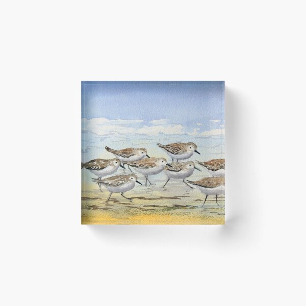 Item preview, Sandpipers Love The Beach designed and sold by William Holkham.