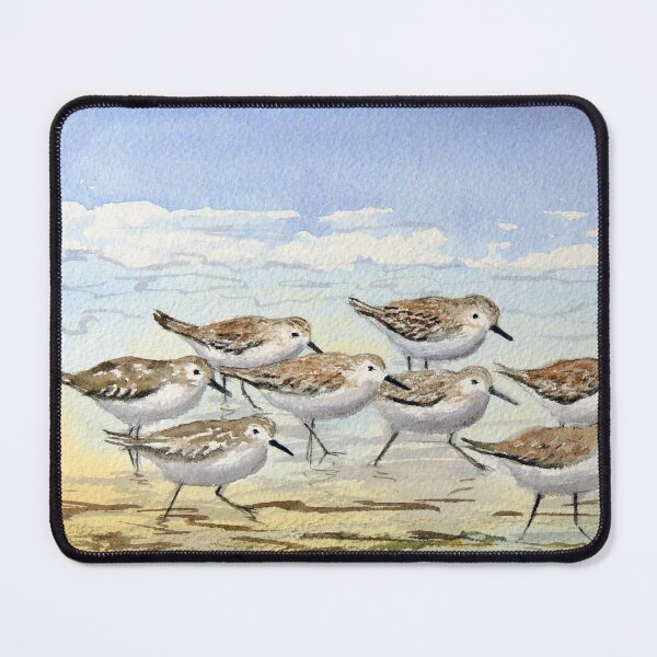 Item preview, Sandpipers Love The Beach designed and sold by William Holkham.