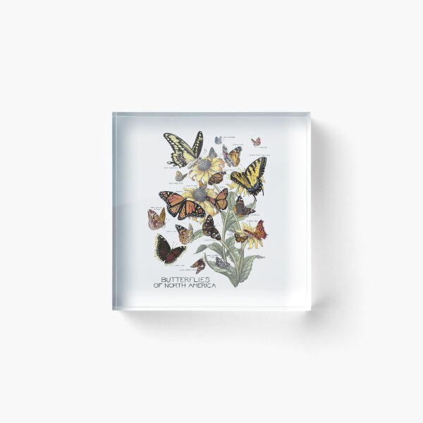 Item preview, Butterflies of North America (Pollination Station) designed and sold by JadaFitch.