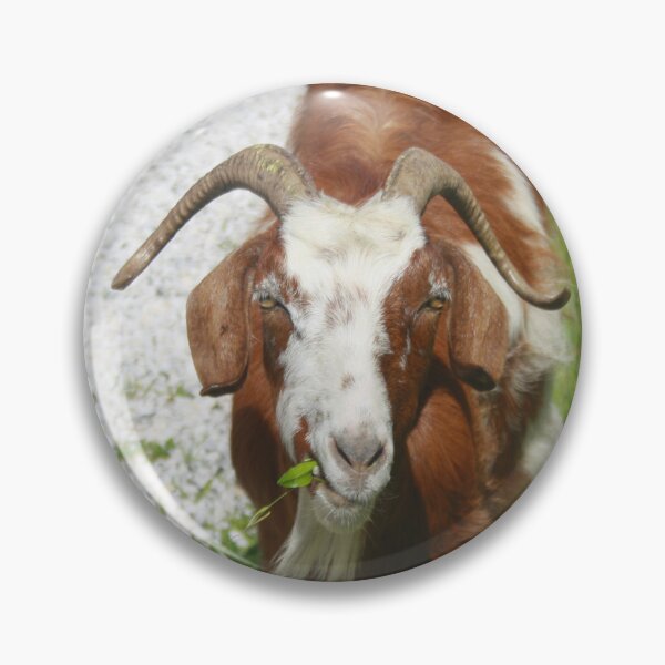 Item preview, Whimsical Portrait of a Horned Goat Grazing designed and sold by taiche.