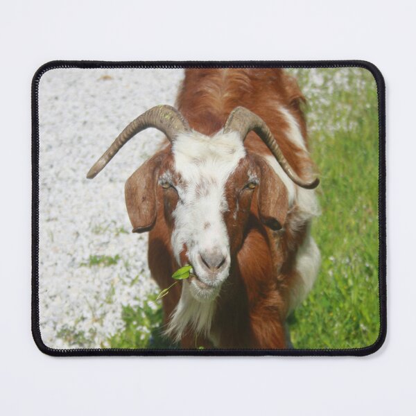 Item preview, Whimsical Portrait of a Horned Goat Grazing designed and sold by taiche.