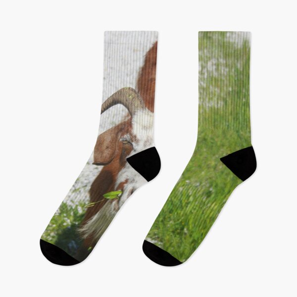 Item preview, Whimsical Portrait of a Horned Goat Grazing designed and sold by taiche.