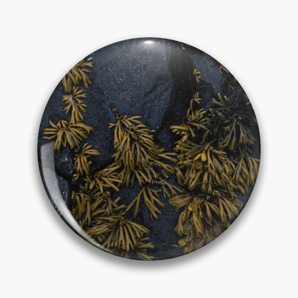 Item preview, seaweed designed and sold by justine Gordon.