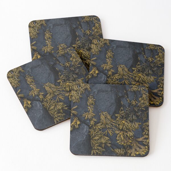 Item preview, seaweed designed and sold by justine Gordon.