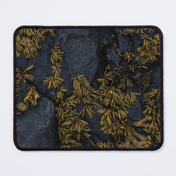 Item preview, seaweed designed and sold by justine Gordon.