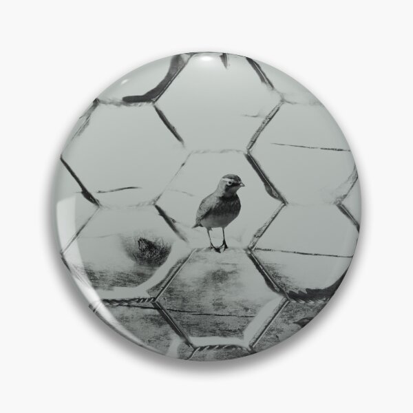 Item preview, Birds on the fence designed and sold by ZazaRee.