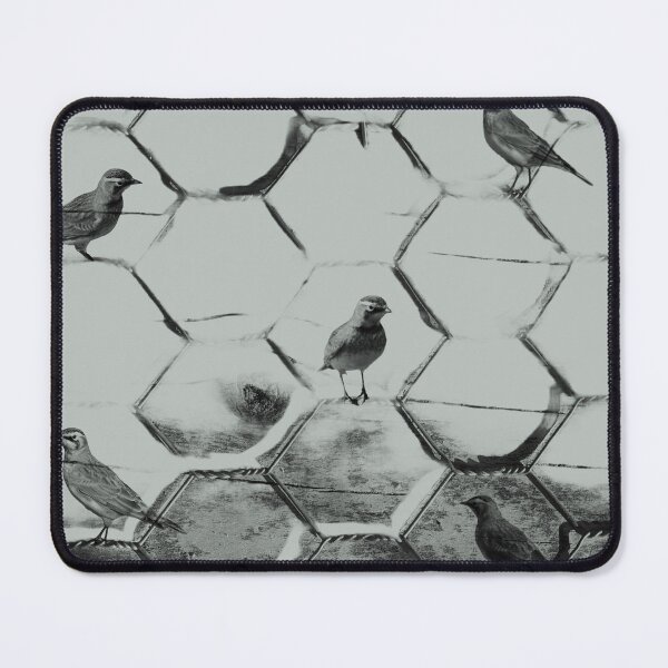 Item preview, Birds on the fence designed and sold by ZazaRee.