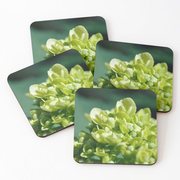 Item preview, Lisbon 006: Limelight designed and sold by SageFolio.
