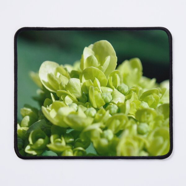 Item preview, Lisbon 006: Limelight designed and sold by SageFolio.