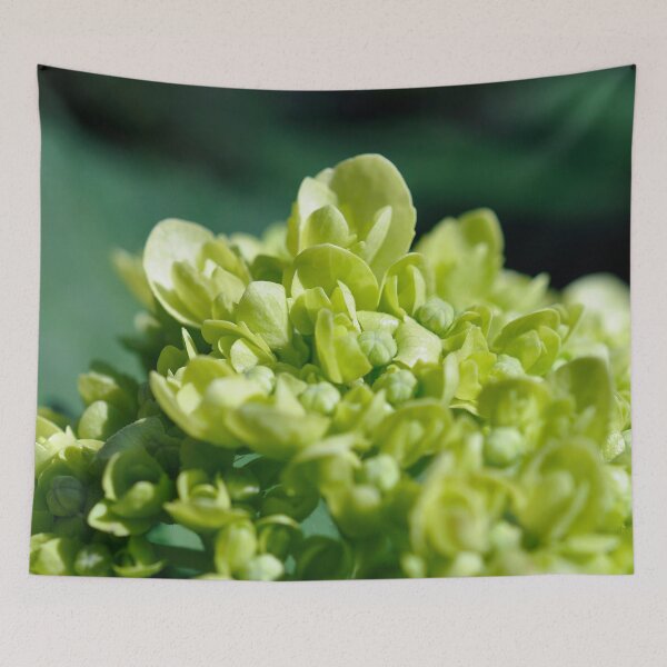 Item preview, Lisbon 006: Limelight designed and sold by SageFolio.