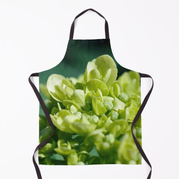 Item preview, Lisbon 006: Limelight designed and sold by SageFolio.