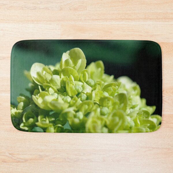 Item preview, Lisbon 006: Limelight designed and sold by SageFolio.