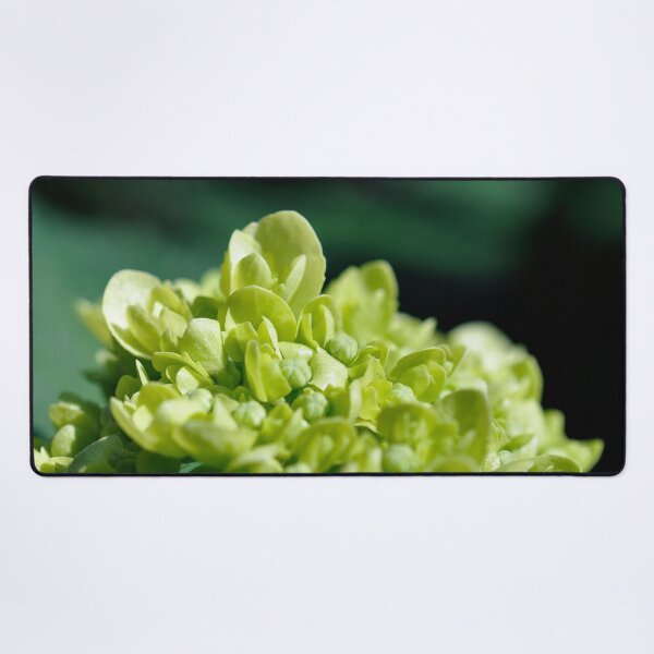 Item preview, Lisbon 006: Limelight designed and sold by SageFolio.