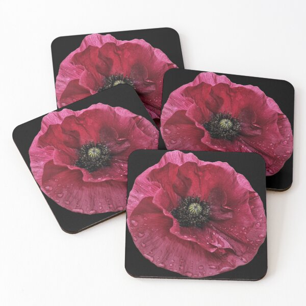Item preview, “Crimson Whispers” captures the ephemeral beauty of a single poppy designed and sold by Tom McPherson Photography.