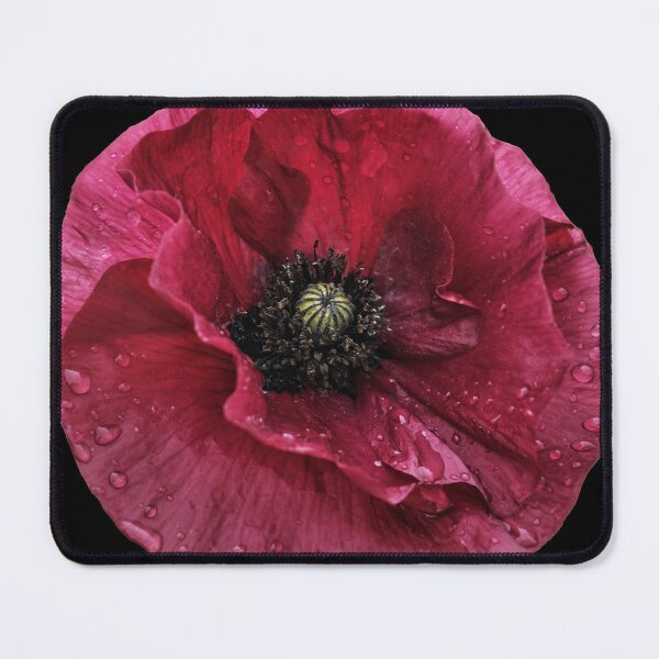 Item preview, “Crimson Whispers” captures the ephemeral beauty of a single poppy designed and sold by Tom McPherson Photography.