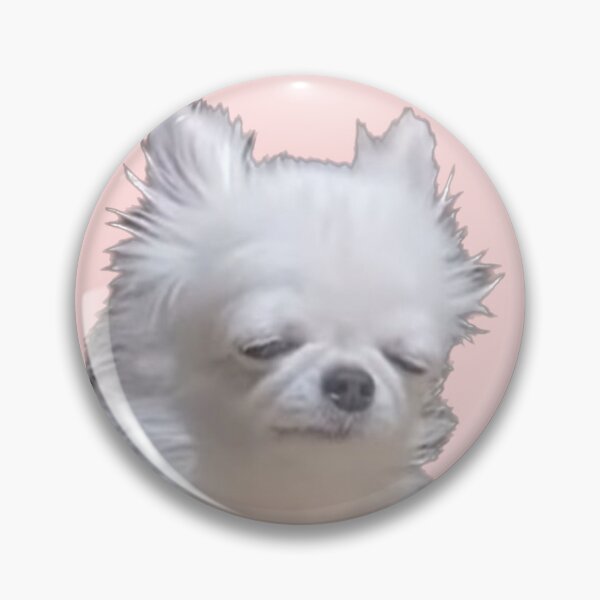 Item preview, Sleepy chihuahua  designed and sold by Ratcatdoggg.