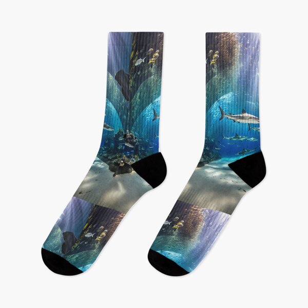 Item preview, tourist attractions Bueng Chawak Aquarium in Thailand designed and sold by Wannaprasert.