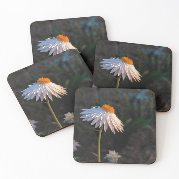 Item preview, Golden Hour in White designed and sold by Jimbo McCoy.