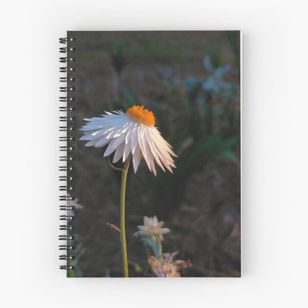 Item preview, Golden Hour in White designed and sold by Jimbo McCoy.