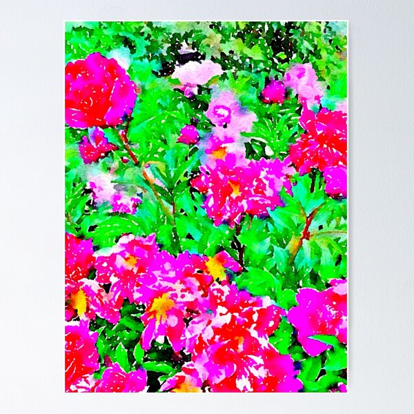 Item preview, Digital watercolor of peonies in the Parc Bagatelle, Paris  designed and sold by ricoflinn.