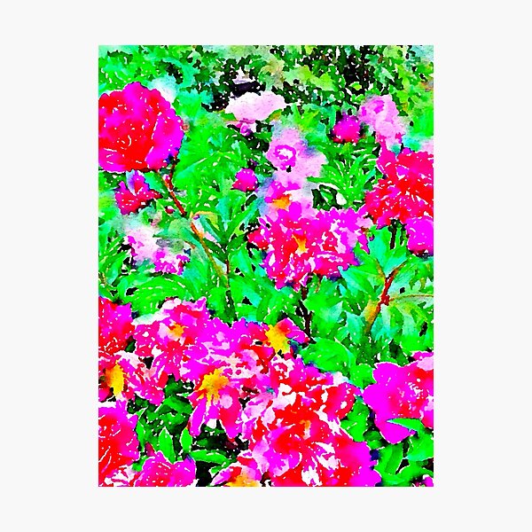 Item preview, Digital watercolor of peonies in the Parc Bagatelle, Paris designed and sold by ricoflinn.