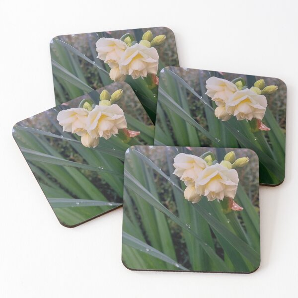 Item preview, Jonquil "Erlicheer" designed and sold by Jimbo McCoy.