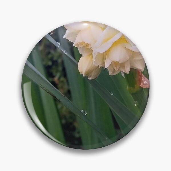 Item preview, Jonquil "Erlicheer" designed and sold by Jimbo McCoy.