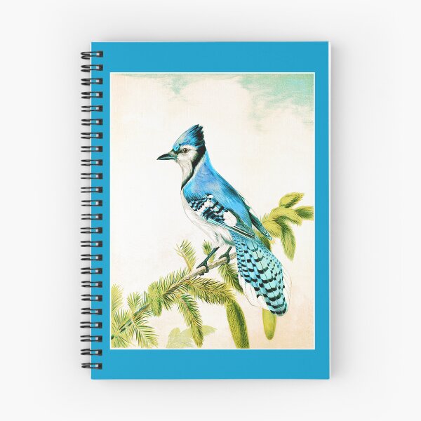 Item preview, Baltimore Oriole, Blue Bird on Branch 1880 designed and sold by RocketshipRetro.