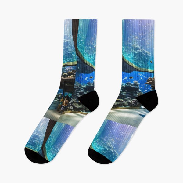 Item preview, tourist attractions Bueng Chawak Aquarium in Thailand designed and sold by Wannaprasert.
