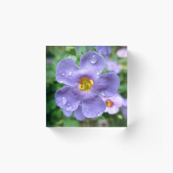 Item preview, Water Drop on Light Purple Flower designed and sold by HeWritesWLight.