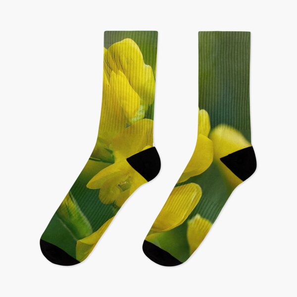 Item preview, Yellows. Meadow vetchling designed and sold by Jouko Lehto Photography.