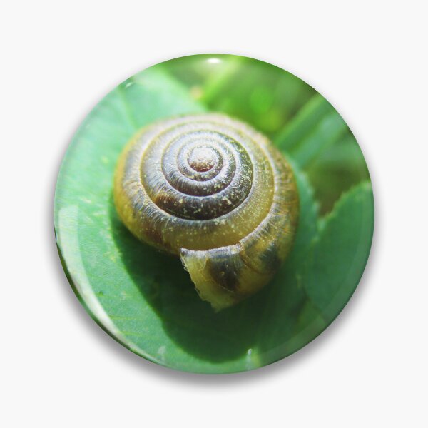 Item preview, Light Brown Snail on Green Grass designed and sold by HeWritesWLight.