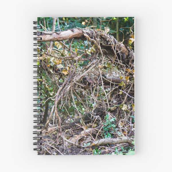 Item preview, Tree branches designed and sold by laiacrafts.