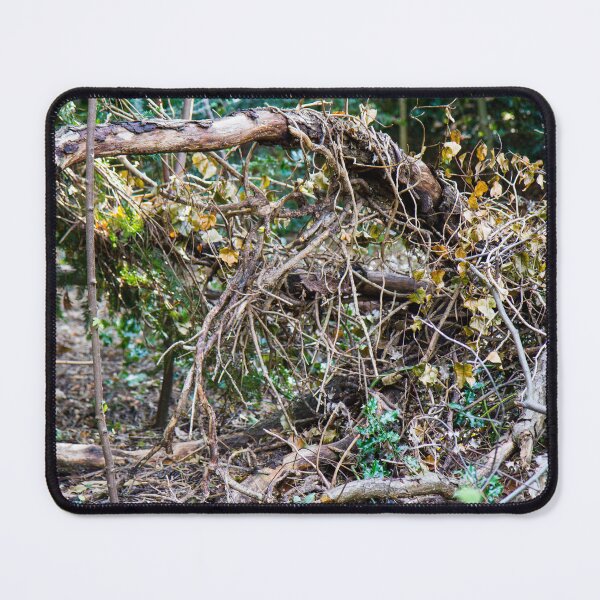 Item preview, Tree branches designed and sold by laiacrafts.