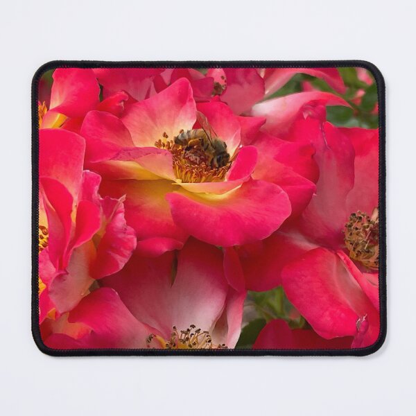 Item preview, Honey Bee on a Red Camellia Photo  designed and sold by A-inProgress.