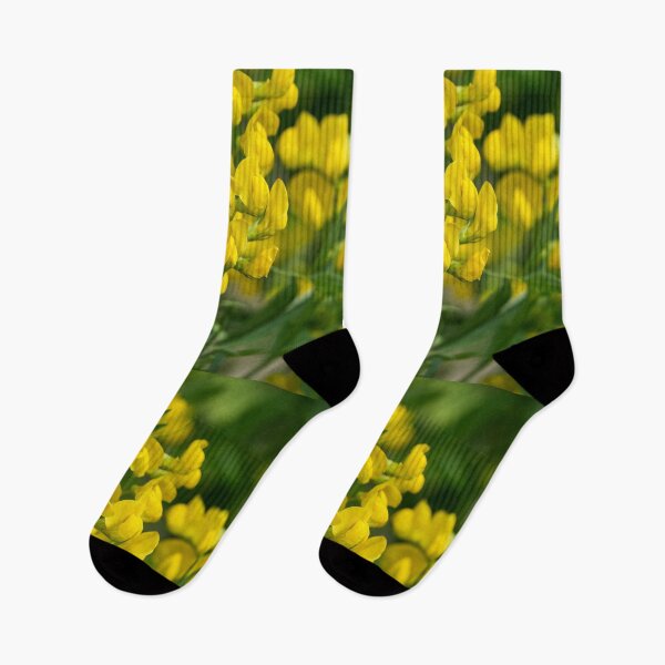 Item preview, The bunch. Meadow vetchling designed and sold by Jouko Lehto Photography.