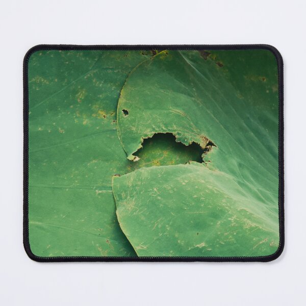 Item preview, green from nature of two lotus leaves joined together designed and sold by FujiFluke.