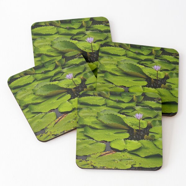 Item preview, lotus flower in the pond full of lotus leaves designed and sold by FujiFluke.