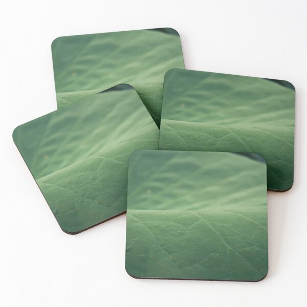 Item preview, The lotus leaf has beautiful lines. It's like a map on a leaf. designed and sold by FujiFluke.