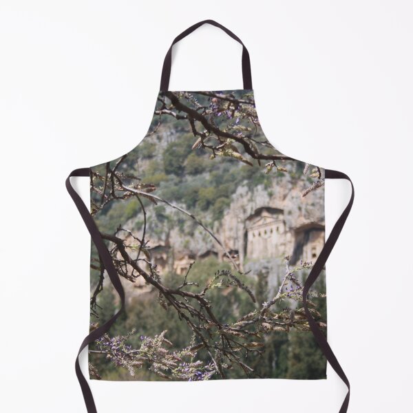 Item preview, Wisteria Buds Surrounding the Lycian Tombs Dalyan designed and sold by taiche.