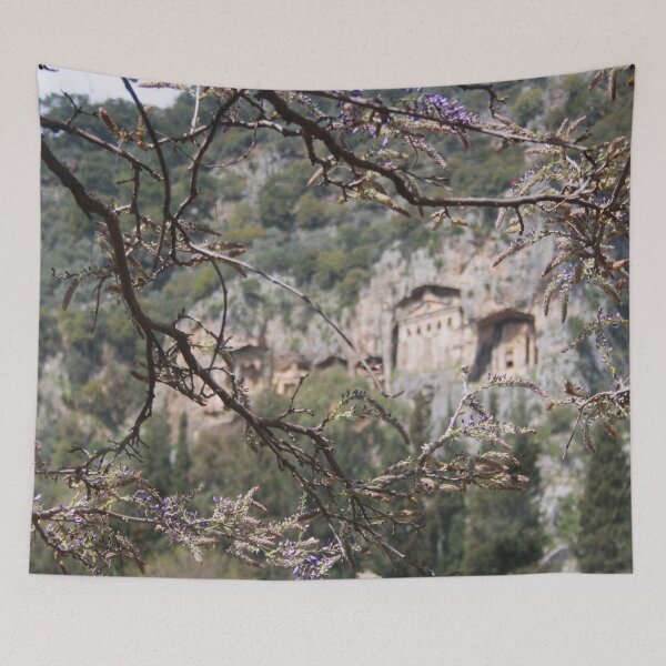 Item preview, Wisteria Buds Surrounding the Lycian Tombs Dalyan designed and sold by taiche.